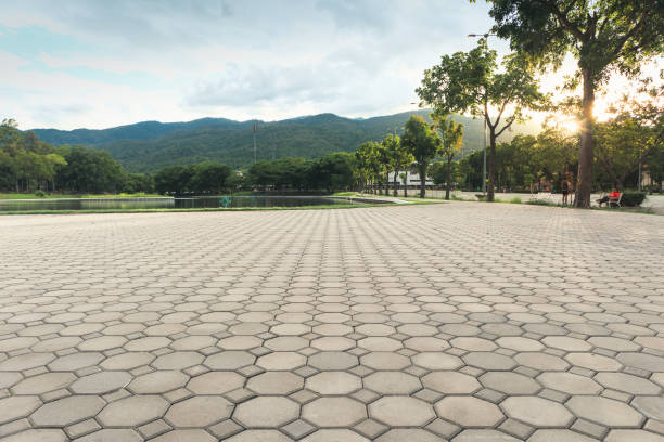 Best Professional Driveway Pavers  in Archer City, TX